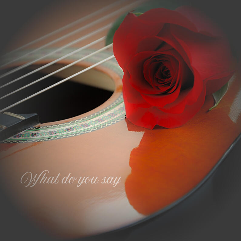 What Do You Say soundtrack solo